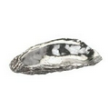 Small Pewter Oyster Shell